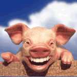 pic for Funny Pig